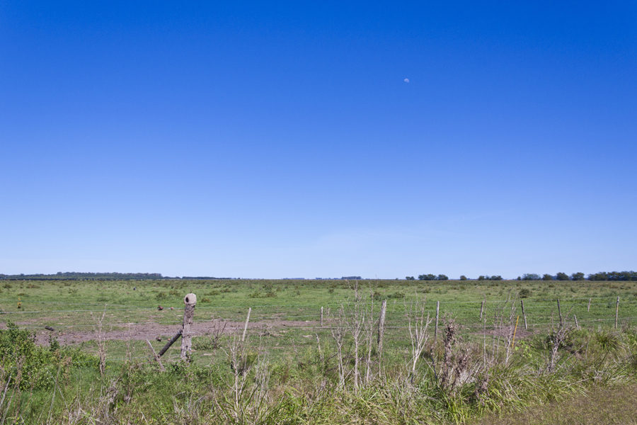 Estancias in Argentina, terreni in vendita